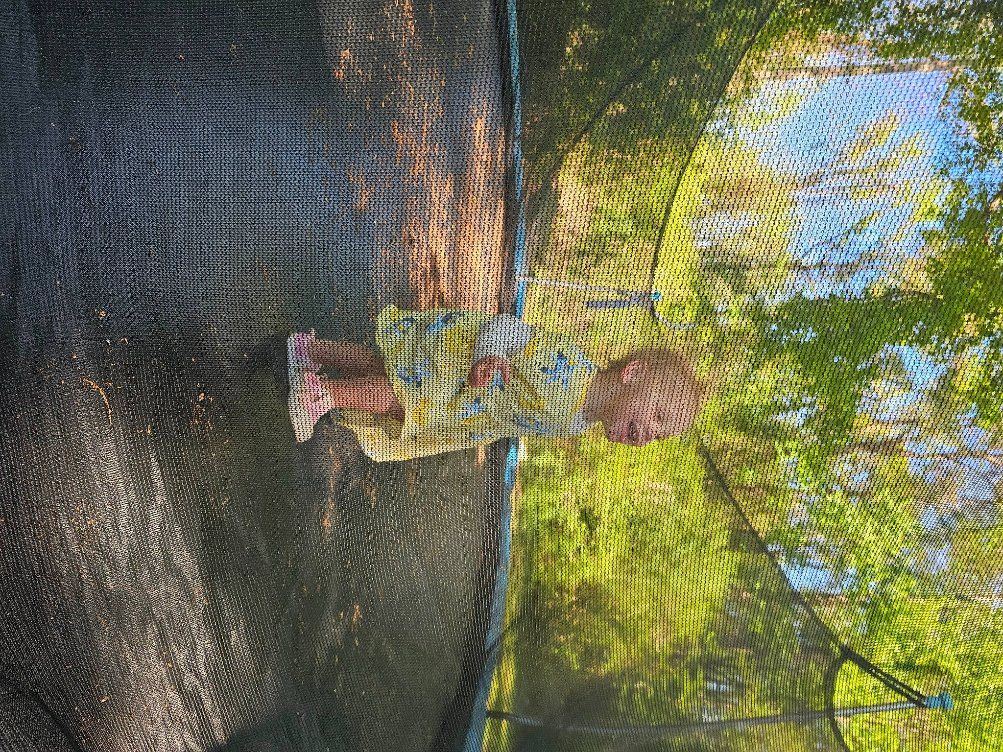 Waverly is registered to the contest to win money with this photo: chain_link_fencing, forest, grass, jungle, landscape, leisure, mesh, net, pattern, person, plant, reflection, rope, shadow, terrestrial_plant, tints_and_shades, tree, trunk, twig, water