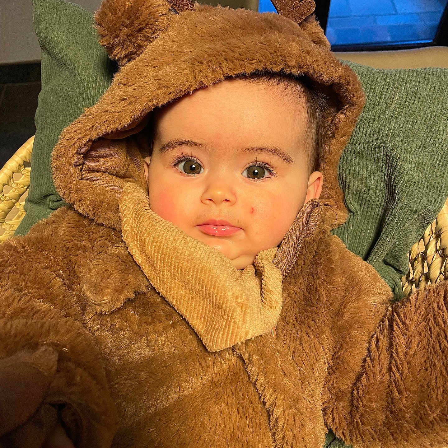 Alma participe au concours pour gagner de l'argent avec cette photo : antlers, baby, brown_fur, child, clothing, costume, cozy, cushion, cute, eyes, face, green, hood, indoor, infant, person, portrait, reindeer, soft_texture, warm_lighting