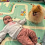 baby, child, dog, pomeranian, play_mat, indoor, floor, clothing, sweatshirt, pants, sock, pet, cute, happy, animal, person, tongue_out, home, toy, relaxing