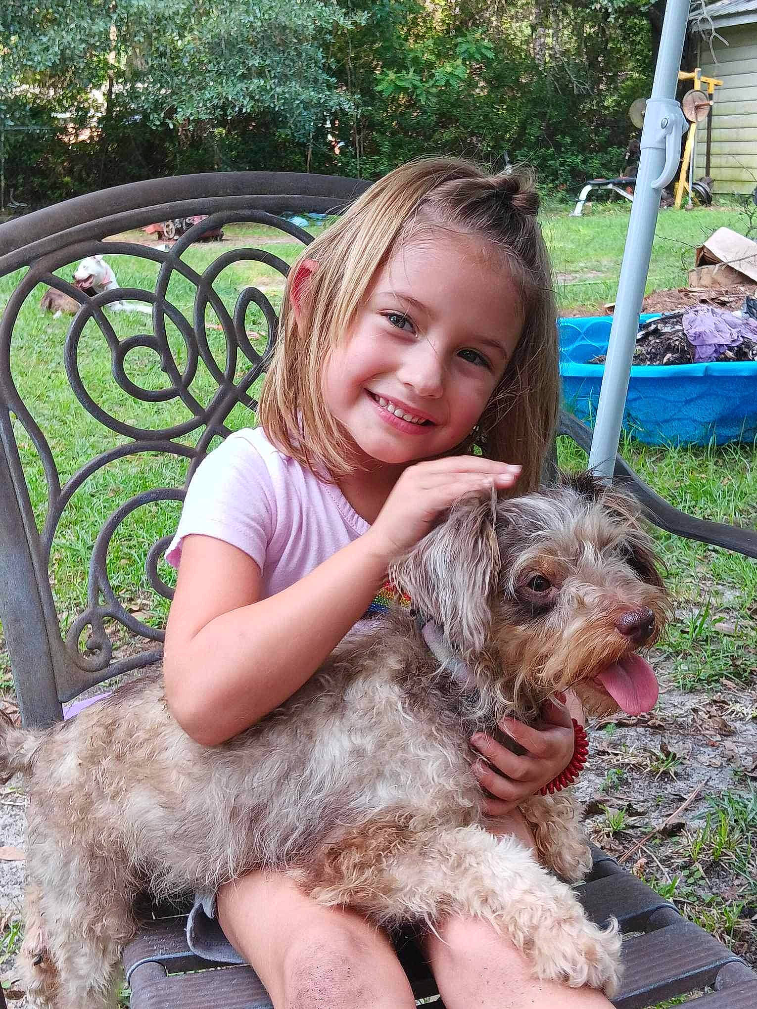 Aubry is registered to the contest to win money with this photo: carnivore, chair, companion_dog, dog, dog_breed, fur, grass, joy, mammal, person, plant, sitting, small_terrier, smile, sporting_group, summer, terrier, toddler, toy_dog, tree