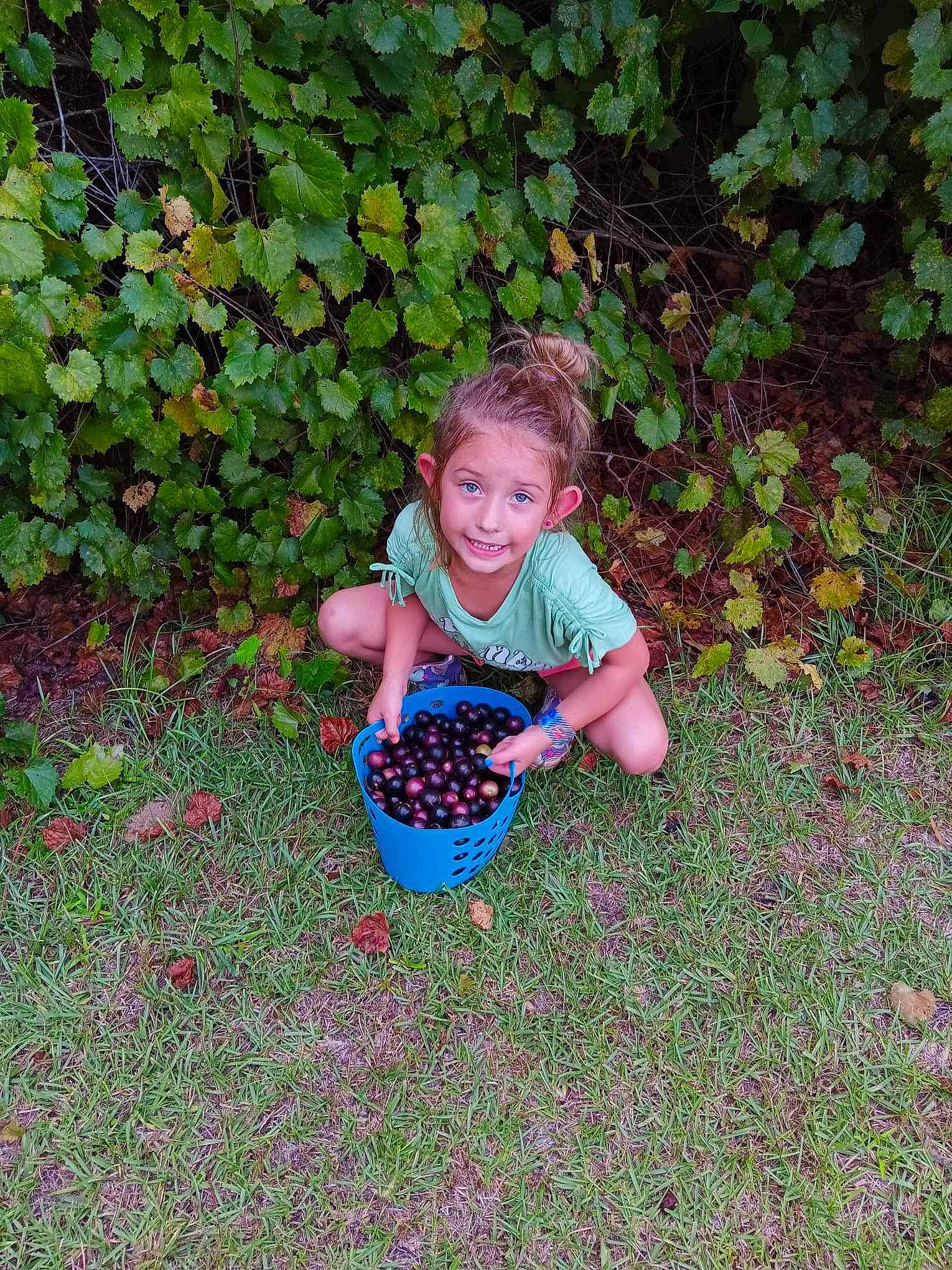 Aubry is registered to the contest to win money with this photo: annual_plant, baby_toddler_clothing, child, flower, garden, grass, grass_family, groundcover, joy, lawn, leaf, magenta, pattern, people_in_nature, person, plant, shrub, sitting, smile, soil