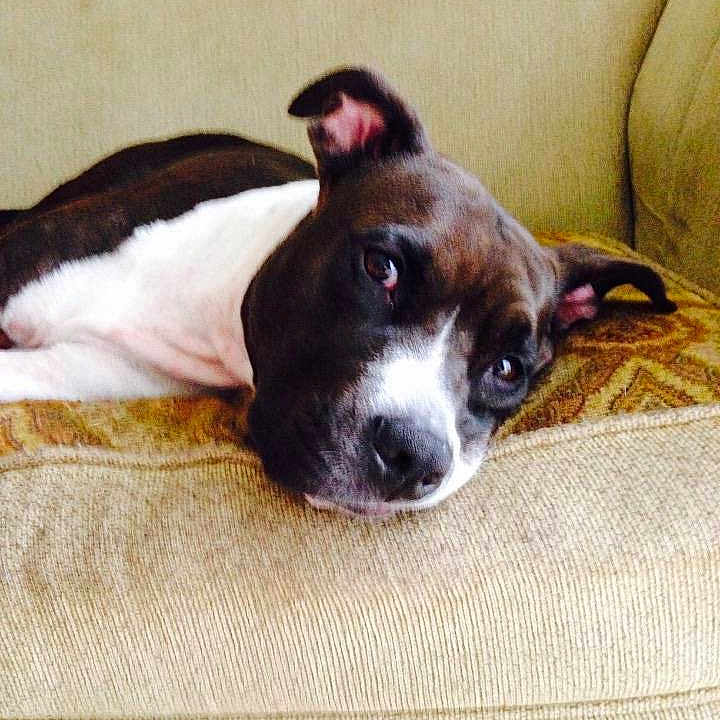 Bella