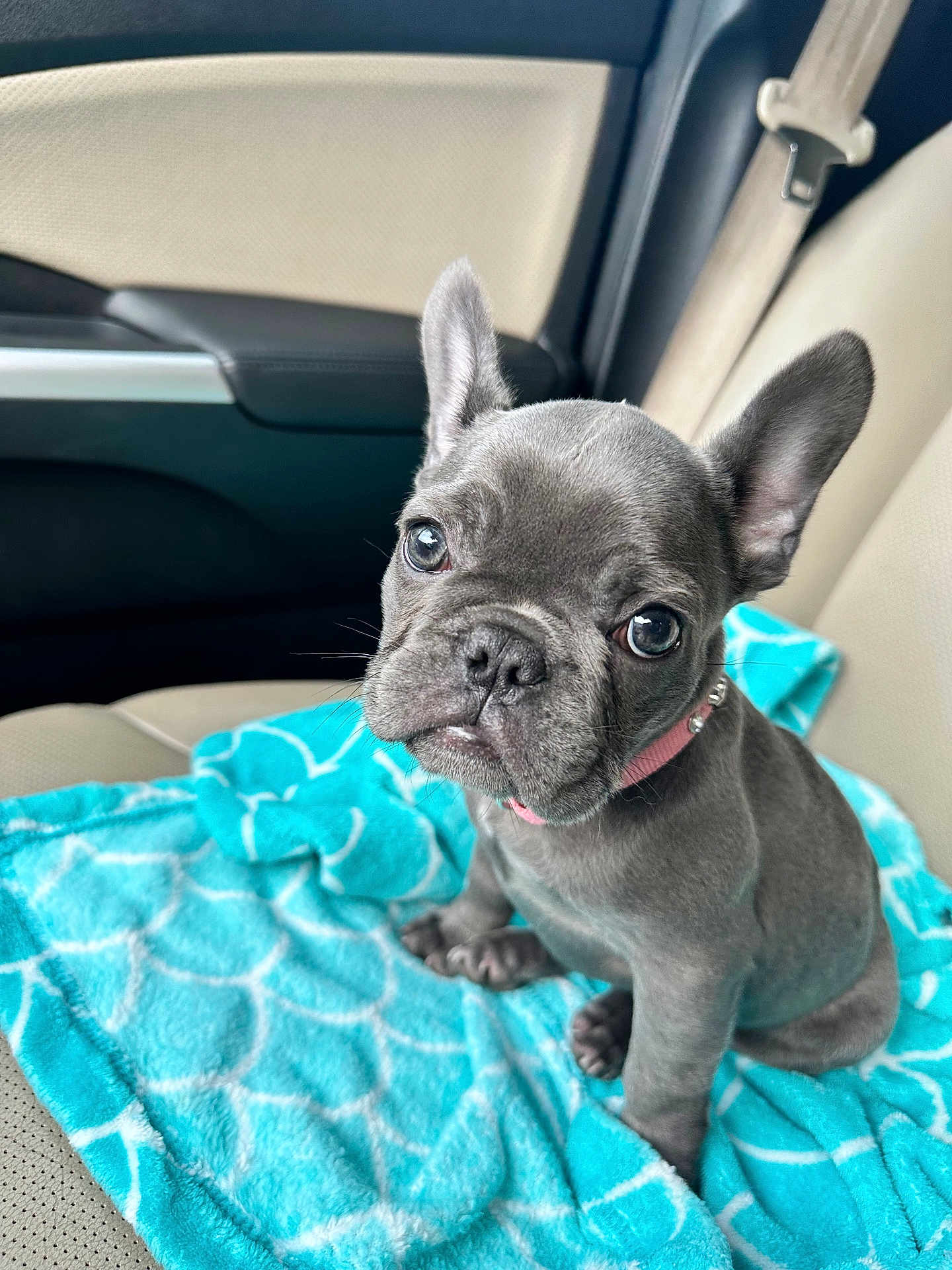 Luna