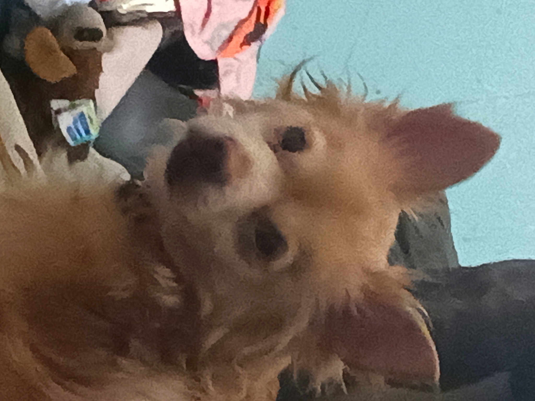 Benji