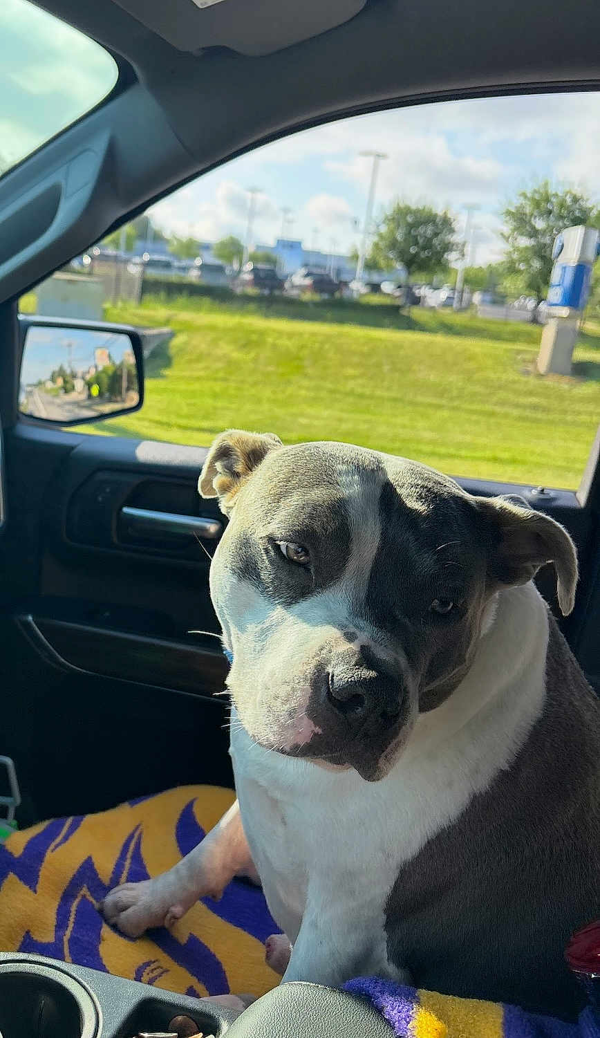 Cooper