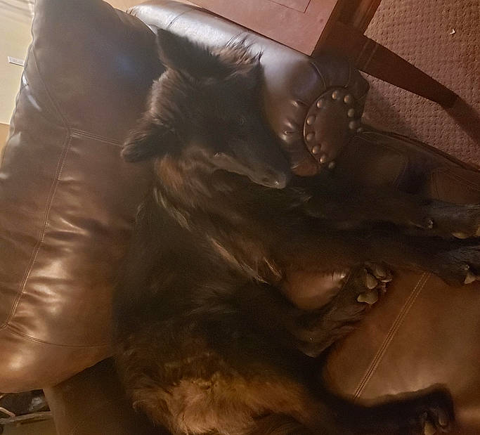 Blackjack joined the competition — help win amazing prizes! fictional_character, metal, sporting_group