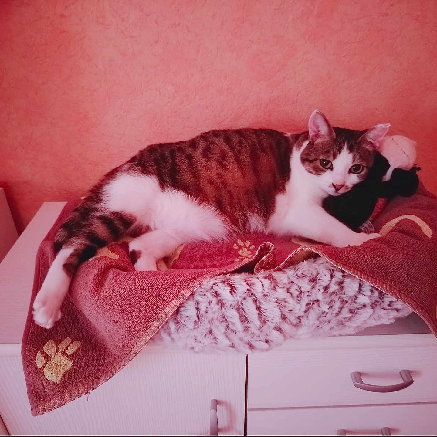 Akina