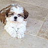 Loky participe au concours pour gagner de l'argent avec cette photo :