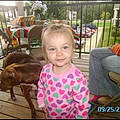 Lily C.