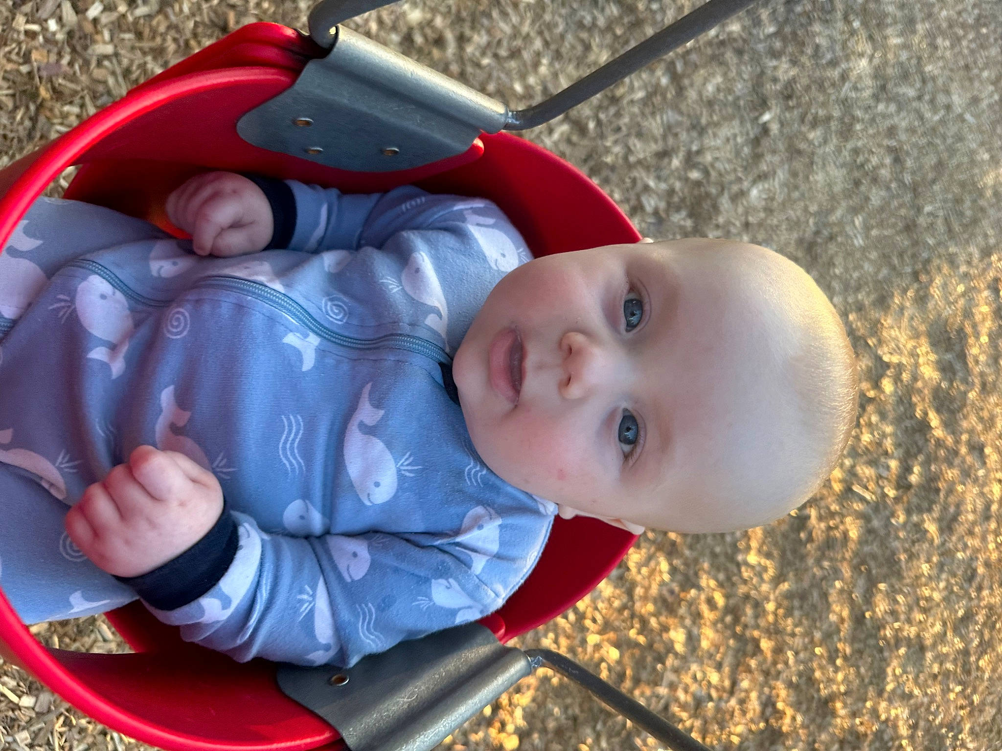 Elliot is registered to the contest to win money with this photo: baby, baby_carriage, baby_products, baby_toddler_clothing, beauty, carmine, cheek, child, comfort, eye, fun, grass, happy, leisure, people, person, play, sitting, skin, toddler