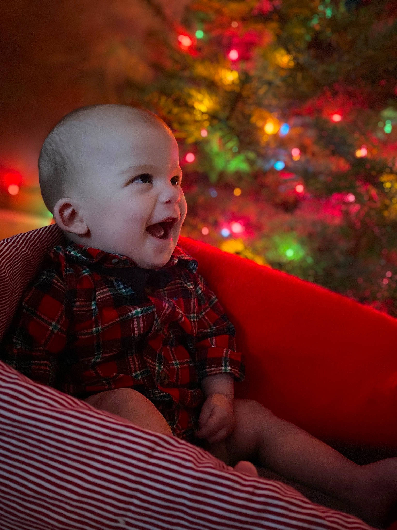 Everett joined the competition — help win amazing prizes! baby, baby_toddler_clothing, christmas, christmas_ornament, christmas_tree, event, flash_photography, fun, grass, happy, pattern, person, plaid, plant, red, sleeve, smile, standing, tartan, toddler