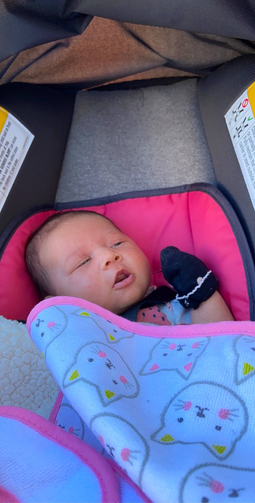 Maria Sky joined the competition — help win amazing prizes! baby, baby_products, bedtime, child, nap, person, pink, product, sleep, toddler