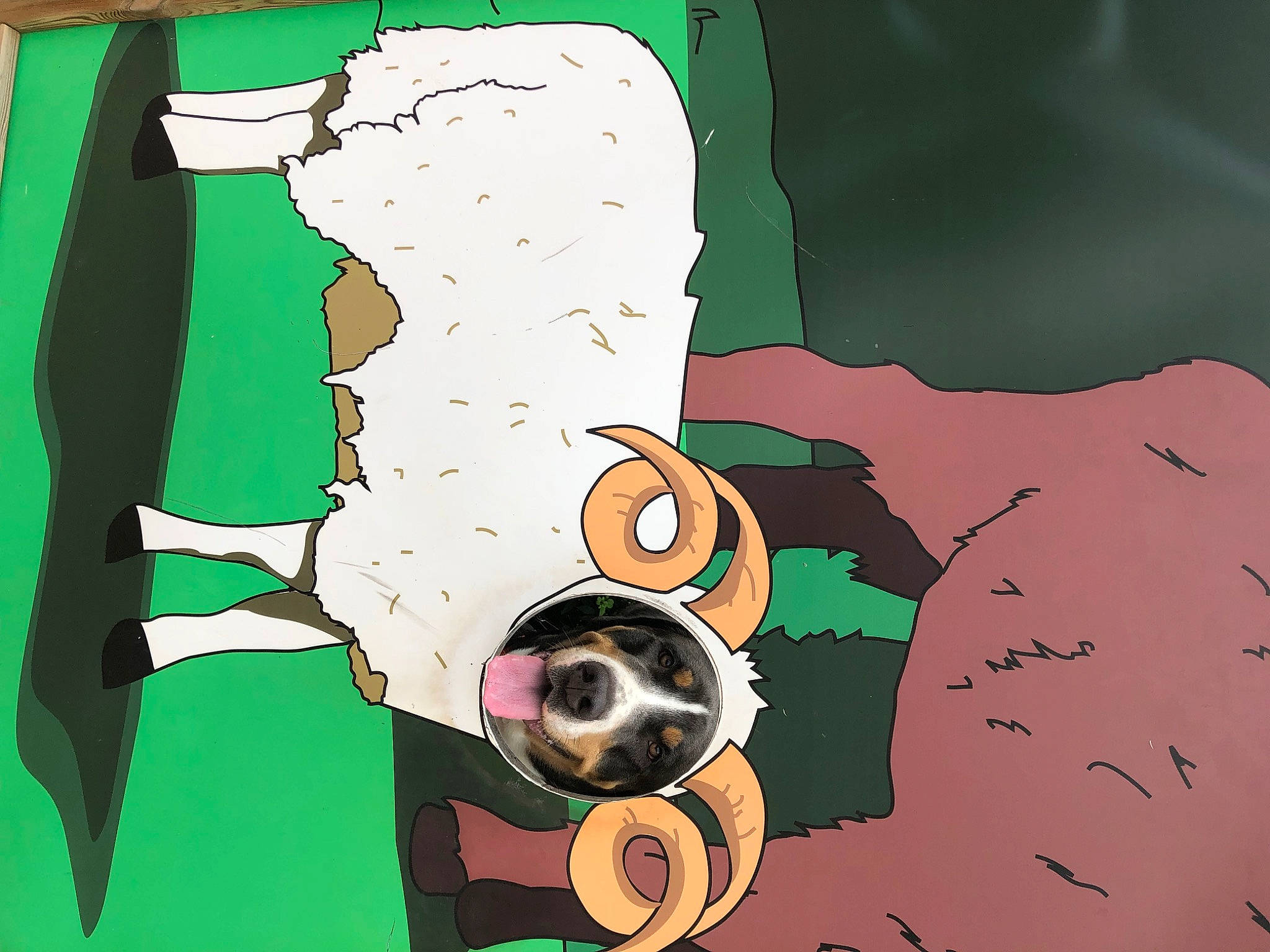 Kila a rejoint le concours — aidez-le/la à gagner de superbes lots ! animated_cartoon, animation, art, circle, fictional_character, font, gesture, graphic_design, graphics, grass, illustration, mask, organism, painting, pattern, sleeve, visual_arts