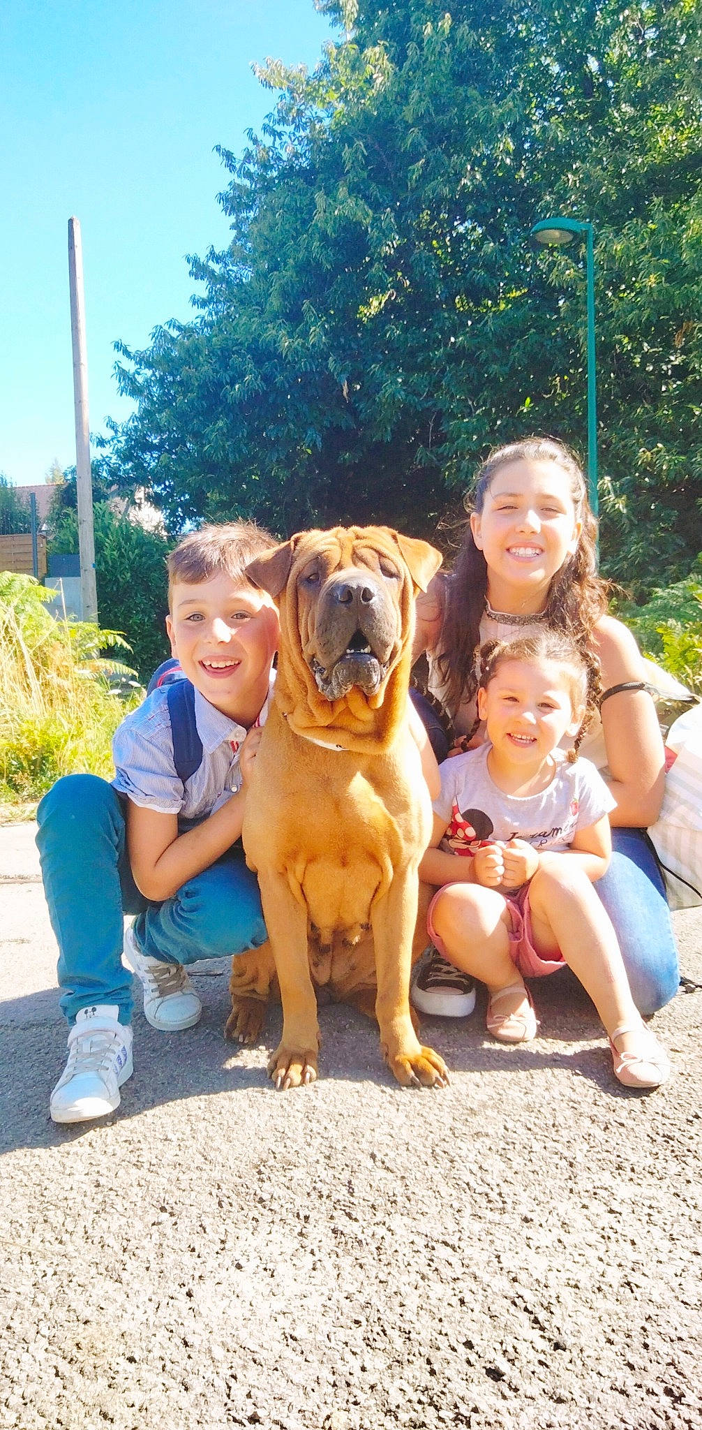 Mathit participe au concours pour gagner de l'argent avec cette photo : carnivore, child, companion_dog, dog, dog_breed, face, fawn, fun, grass, happy, leisure, people_in_nature, plant, recreation, shorts, sky, smile, summer, sunglasses, tree