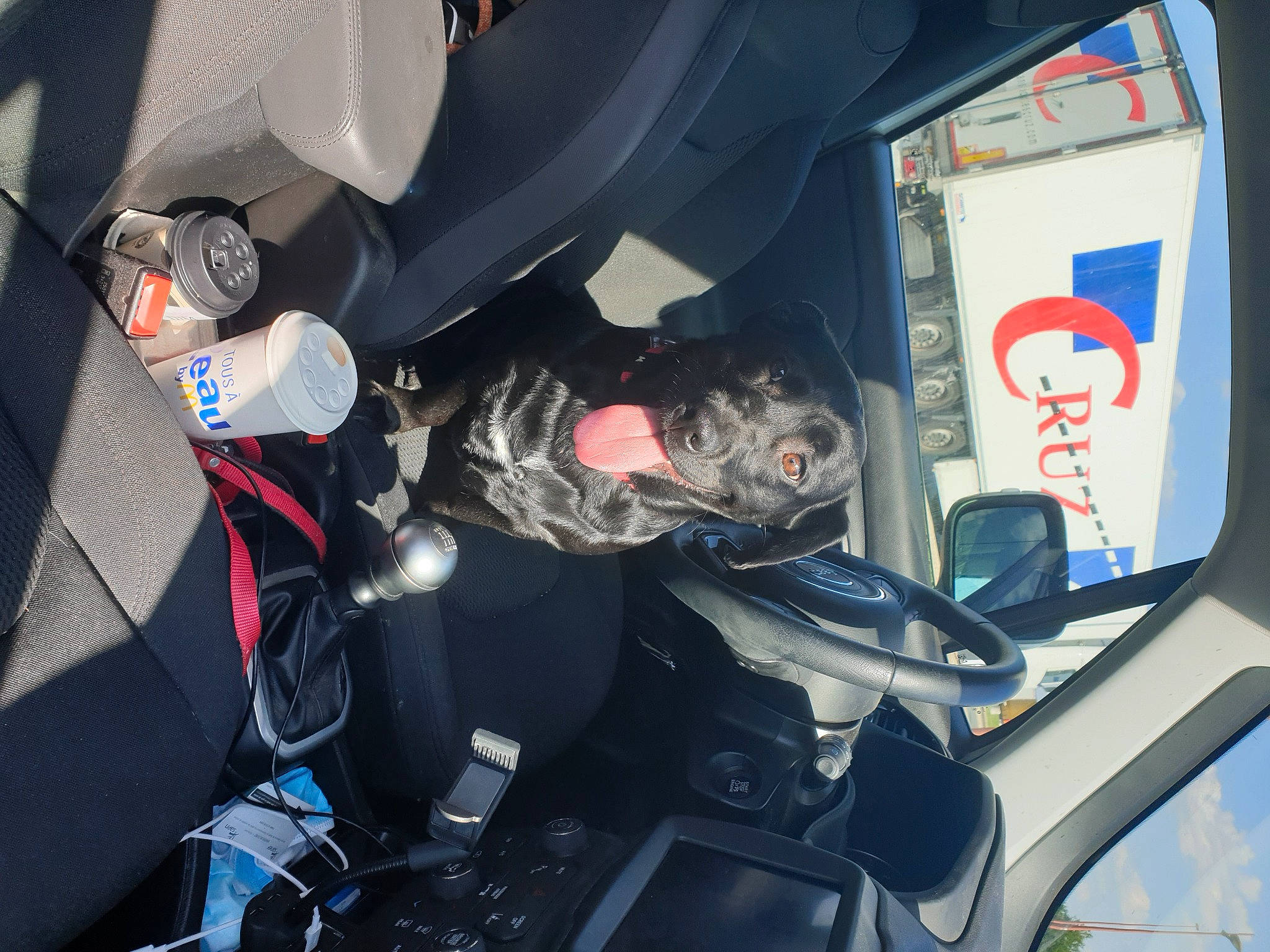 Pixel participe au concours pour gagner de l'argent avec cette photo : auto_part, automotive_design, automotive_exterior, automotive_lighting, automotive_tire, automotive_wheel_system, bumper, car, car_seat, car_seat_cover, hood, mode_of_transport, motor_vehicle, personal_luxury_car, steering_wheel, trunk, vehicle, vehicle_door, window, windshield