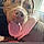 Winnie