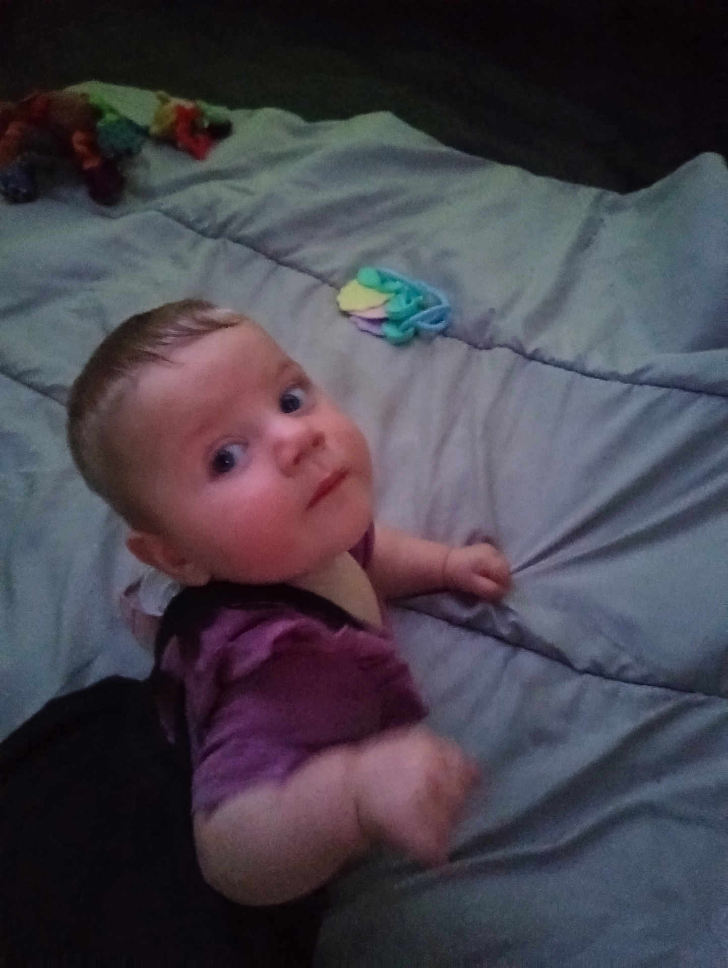 Cassandra is registered to the contest to win money with this photo: baby, infant, child, purple_shirt, blanket, toy, colorful_toys, face, looking_up, indoor, soft_light, candid, expression, cute, young_child, person, lying_down, hand, head, skin