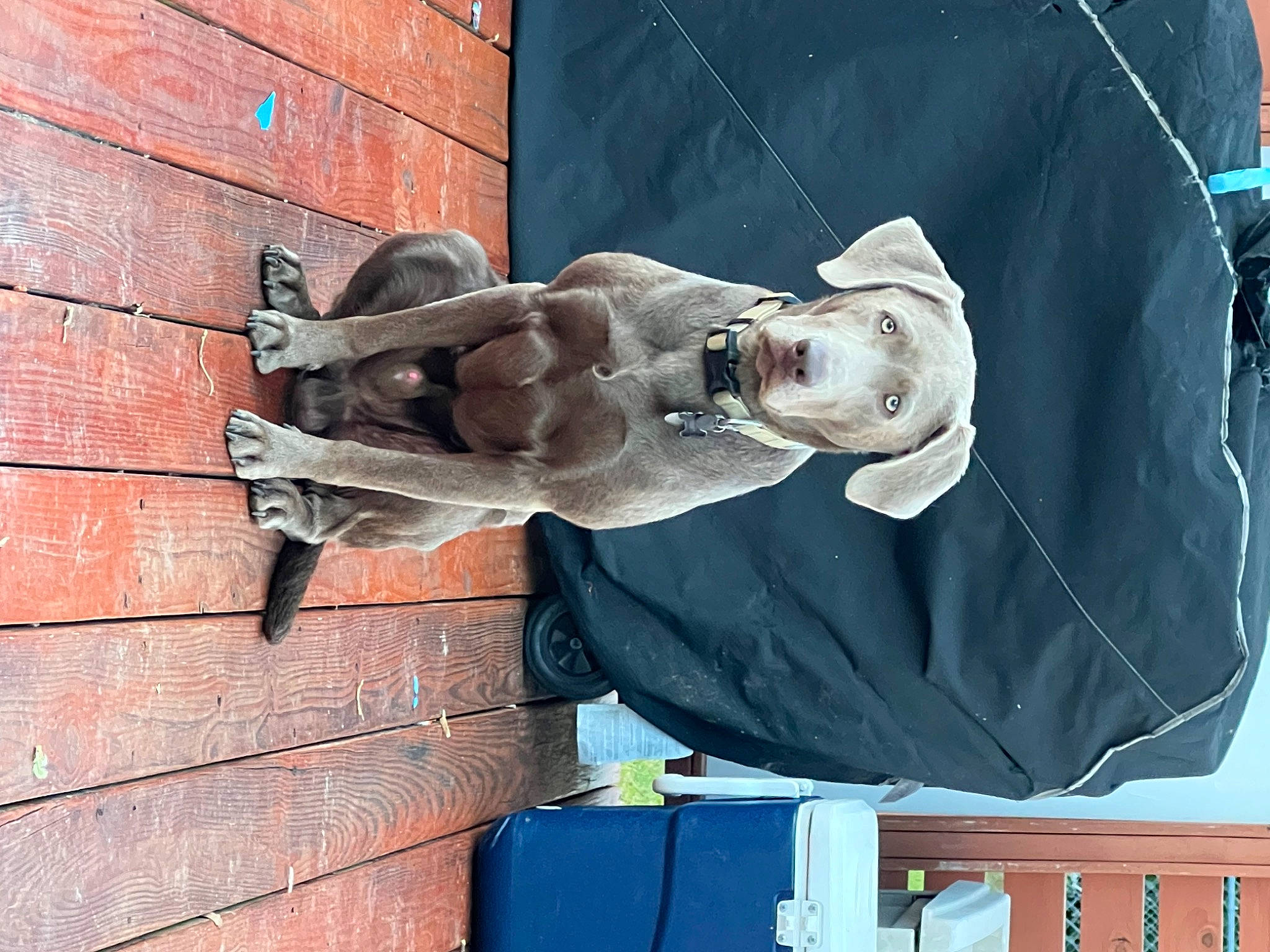 Gage is registered to the contest to win money with this photo: art, brick, brickwork, elbow, sculpture, statue, visual_arts, wood, wrist