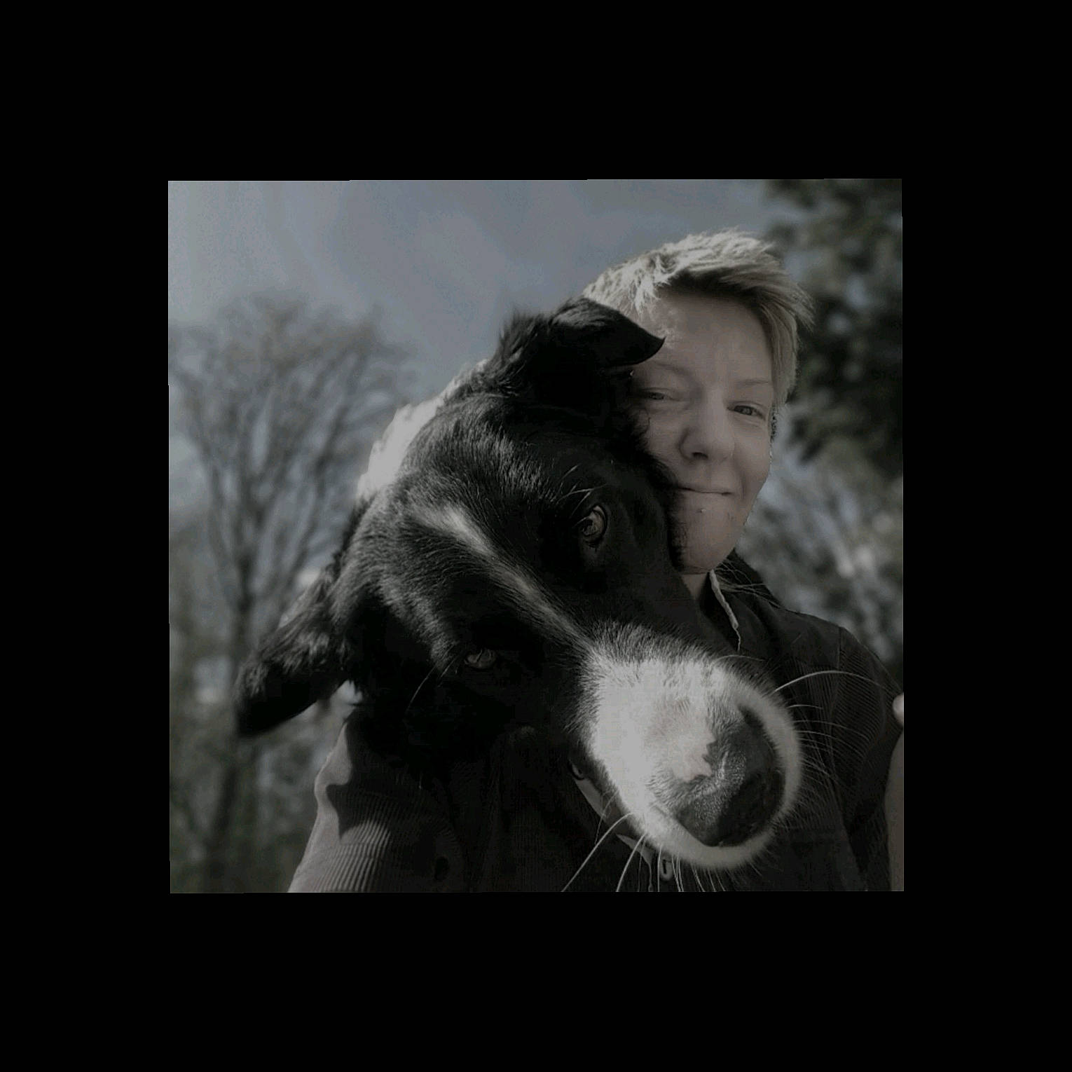 Loocky participe au concours pour gagner de l'argent avec cette photo : canidae, carnivore, cloud, companion_dog, darkness, dog, dog_breed, dog_sports, flash_photography, fur, happy, monochrome, monochrome_photography, photo_caption, pointing_breed, snout, sporting_group, whiskers, wildlife, working_animal