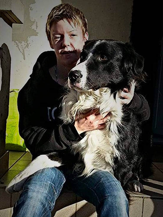 Loocky a rejoint le concours — aidez-le/la à gagner de superbes lots ! carnivore, companion_dog, denim, dog, dog_breed, fur, gun_dog, happy, jeans, sitting, sporting_group, working_dog