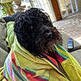 Little Danny is registered to the contest to win money with this photo: black_dog, couch, cozy, curly_fur, dog, furniture, houseplant, indoor, lamp, living_room, looking_up, pet, relaxed, remote_control, striped_towel, tile_floor, towel, wet_fur, window, wrapped