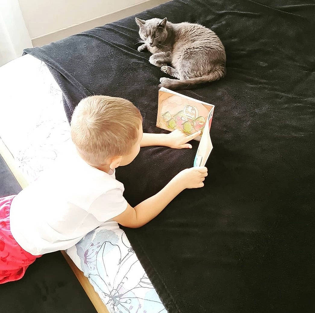 Loky a rejoint le concours — aidez-le/la à gagner de superbes lots ! art, carnivore, cat, comfort, domestic_short_haired_cat, felidae, flooring, fur, gesture, leisure, recreation, room, sitting, sleeve, small_to_medium_sized_cats, t_shirt, tail, toddler, visual_arts, whiskers