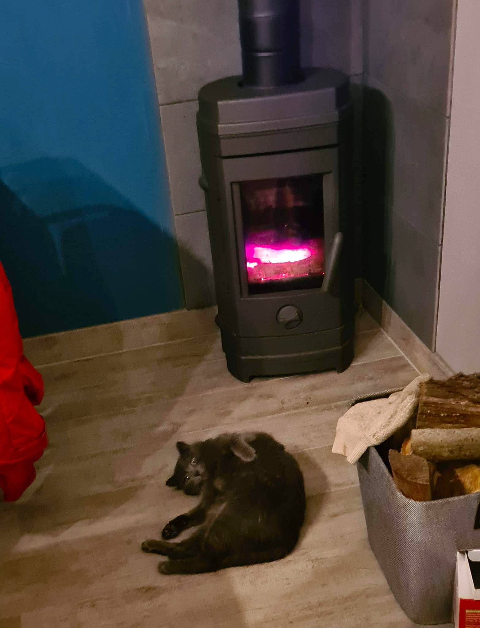 Loky participe au concours pour gagner de l'argent avec cette photo : carnivore, cat, comfort, felidae, floor, flooring, games, gas, hardwood, heat, home_appliance, living_room, room, small_to_medium_sized_cats, stove, television_set, whiskers, wood, wood_burning_stove, wood_stain
