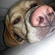 Henza participe au concours pour gagner de l'argent avec cette photo :