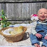 Walker is registered to the contest to win money with this photo: baby, child, duckling, basket, blanket, denim_overalls, smiling, outdoor, flowers, wooden_fence, greenery, sunlight, cute, happy, nature, playful, sitting, portrait, spring, baby_clothing