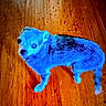 Mouse joined the competition — help win amazing prizes! animal, blue, blurred, cat, colorful, fantasy, fur, indoors, legs, low_light, neon, pet, portrait, saturated, side_view, standing, surreal, tail, walking, wood_floor