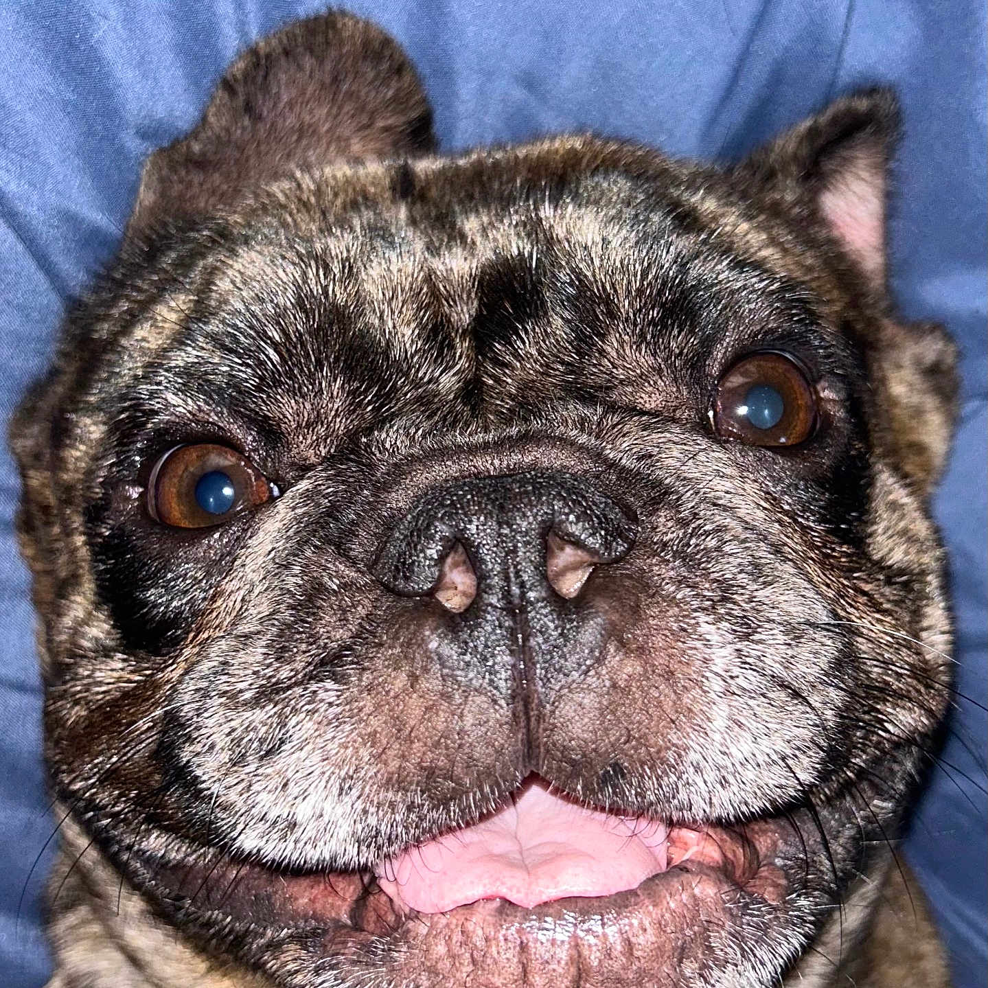 Benji