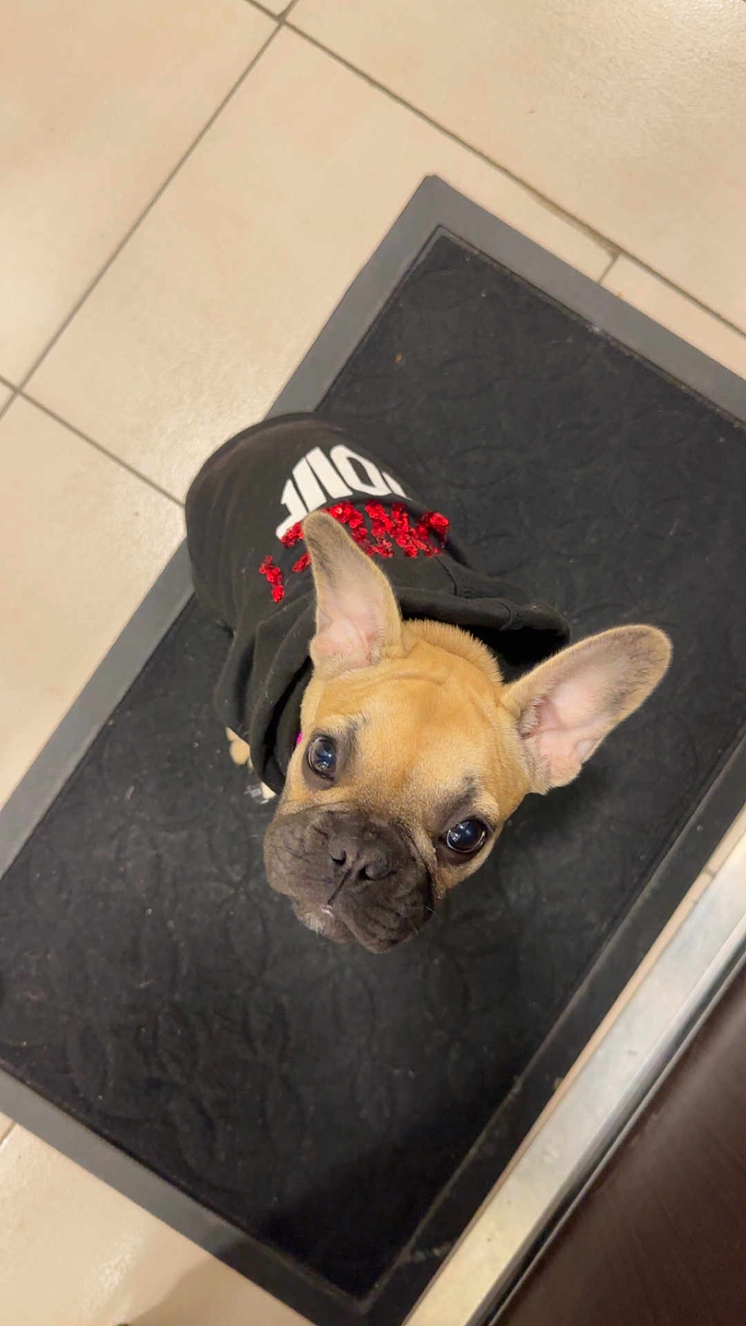 Nala