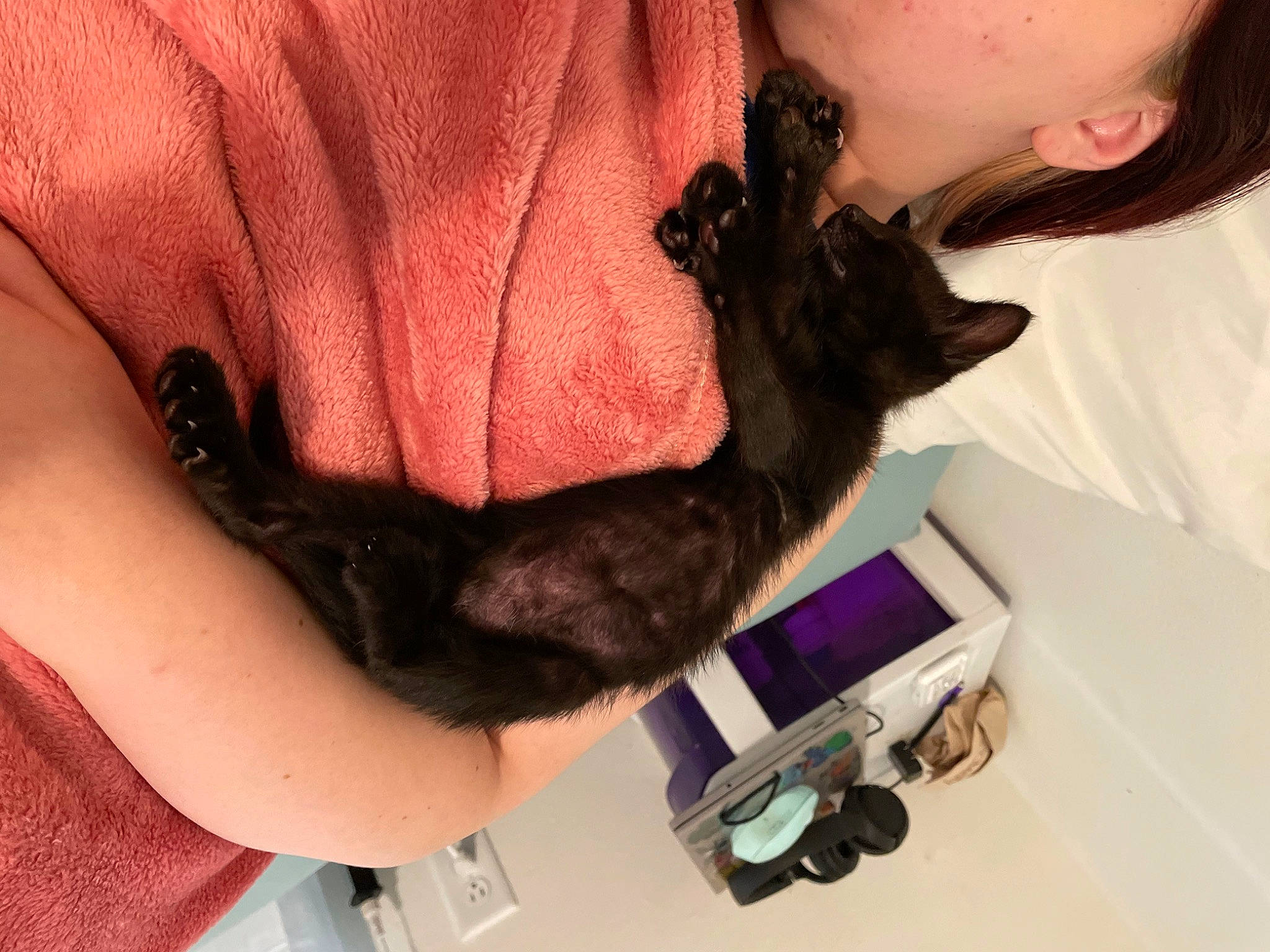 Lupin is registered to the contest to win money with this photo: beard, carnivore, cat, comfort, companion_dog, dog_breed, ear, elbow, facial_hair, fawn, felidae, gesture, lap, long_hair, nail, neck, small_to_medium_sized_cats, snout, whiskers, wrist