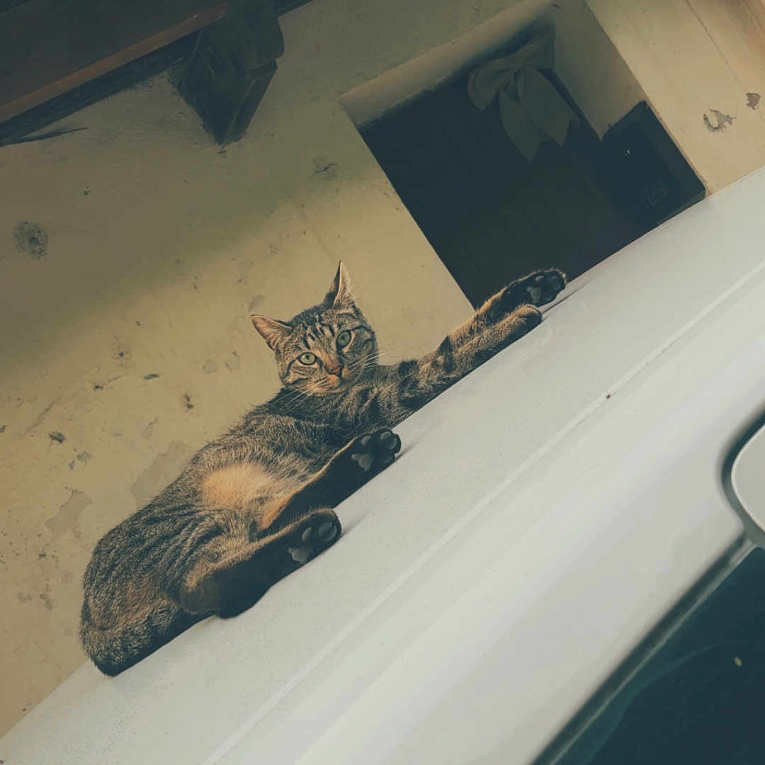 𝐏𝐫𝐚𝐝𝐚