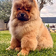 Abyss participe au concours pour gagner de l'argent avec cette photo :