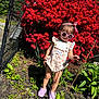 child, curious, fashion, fence, flowering_bush, footwear, garden, greenery, headband, nature, outdoor, plants, purple_crocs, red_flowers, romper, standing, summer, sunglasses, sunlight, toddler