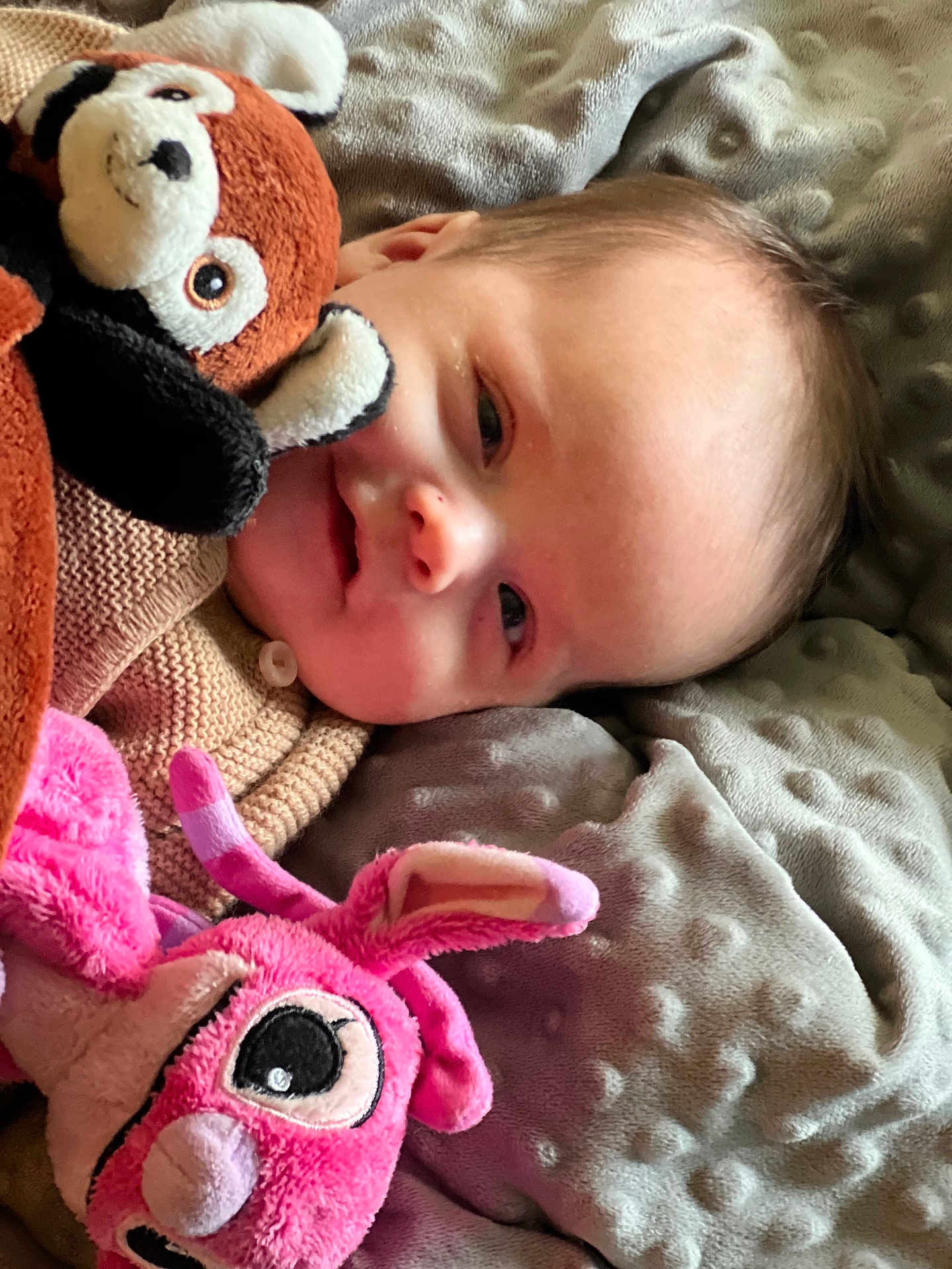 Amy a rejoint le concours — aidez-le/la à gagner de superbes lots ! baby, infant, blanket, plush_toy, stuffed_animal, pink, brown, white, face, person, cozy, soft_texture, cute, child, lying_down, indoors, comfort, closeup, warm, sleepy