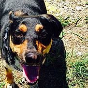 Willow a rejoint le concours — aidez-le/la à gagner de superbes lots !