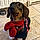 Milou