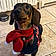 Milou