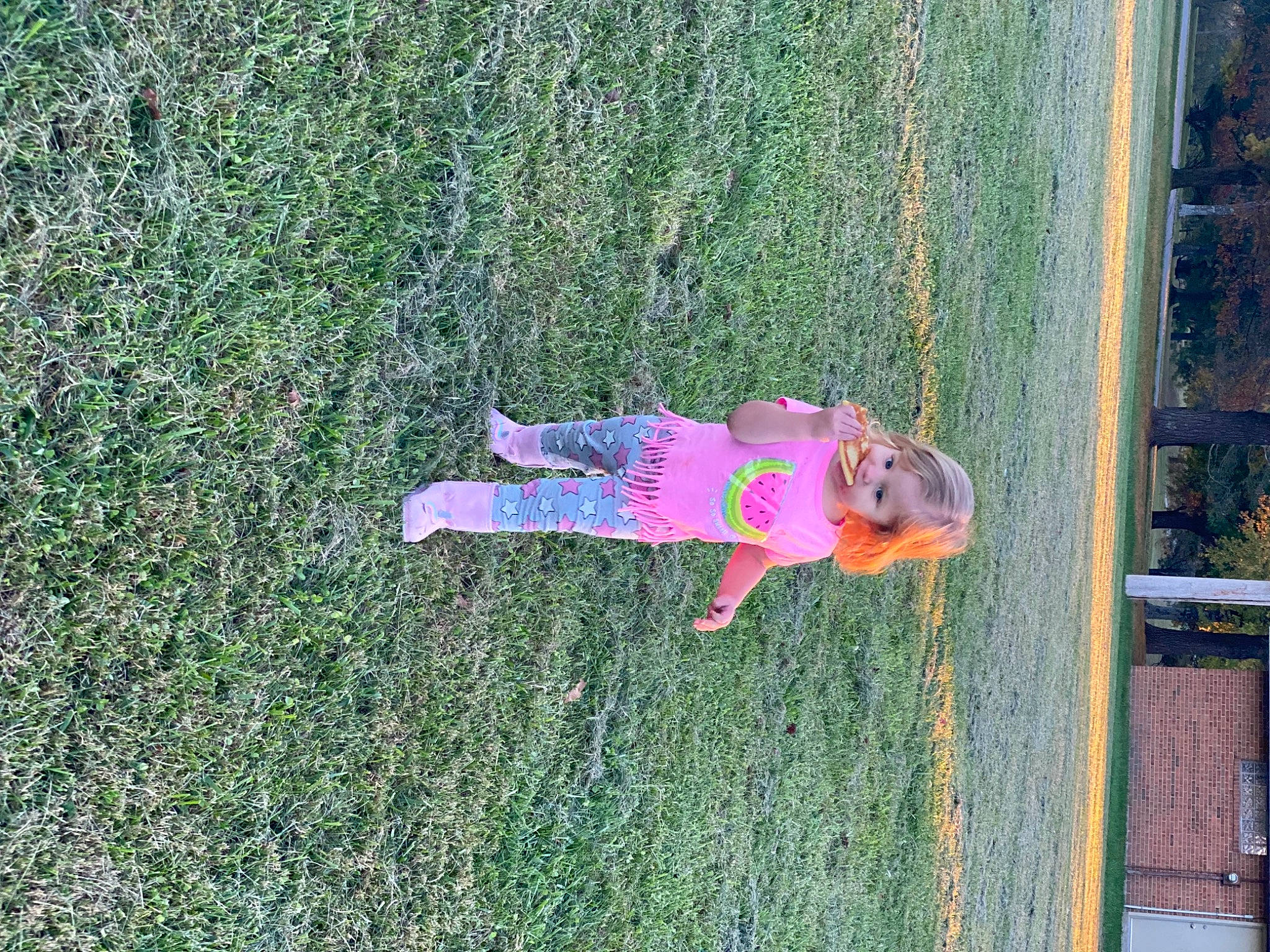 Sawyer is registered to the contest to win money with this photo: baby, child, fun, garden, grass, grass_family, green, groundcover, landscape, lawn, leisure, magenta, people_in_nature, person, plant, recreation, shrub, toddler, tree, water