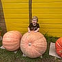 child, toddler, pumpkin, large_pumpkin, yellow_wall, grass, outdoor, smile, curly_hair, autumn, fall, festival, nature, person, plant, wooden_wall, orange, happy, cute, seasonal