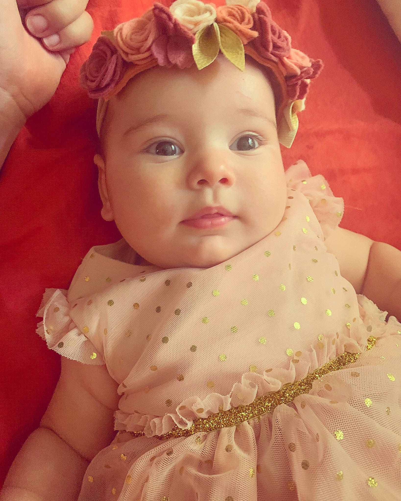 Alba a rejoint le concours — aidez-le/la à gagner de superbes lots ! baby, baby_toddler_clothing, beauty, bridal_accessory, cheek, chin, dress, embellishment, eyelash, finger, happy, headband, headgear, headpiece, headwear, iris, lip, person, pink, skin