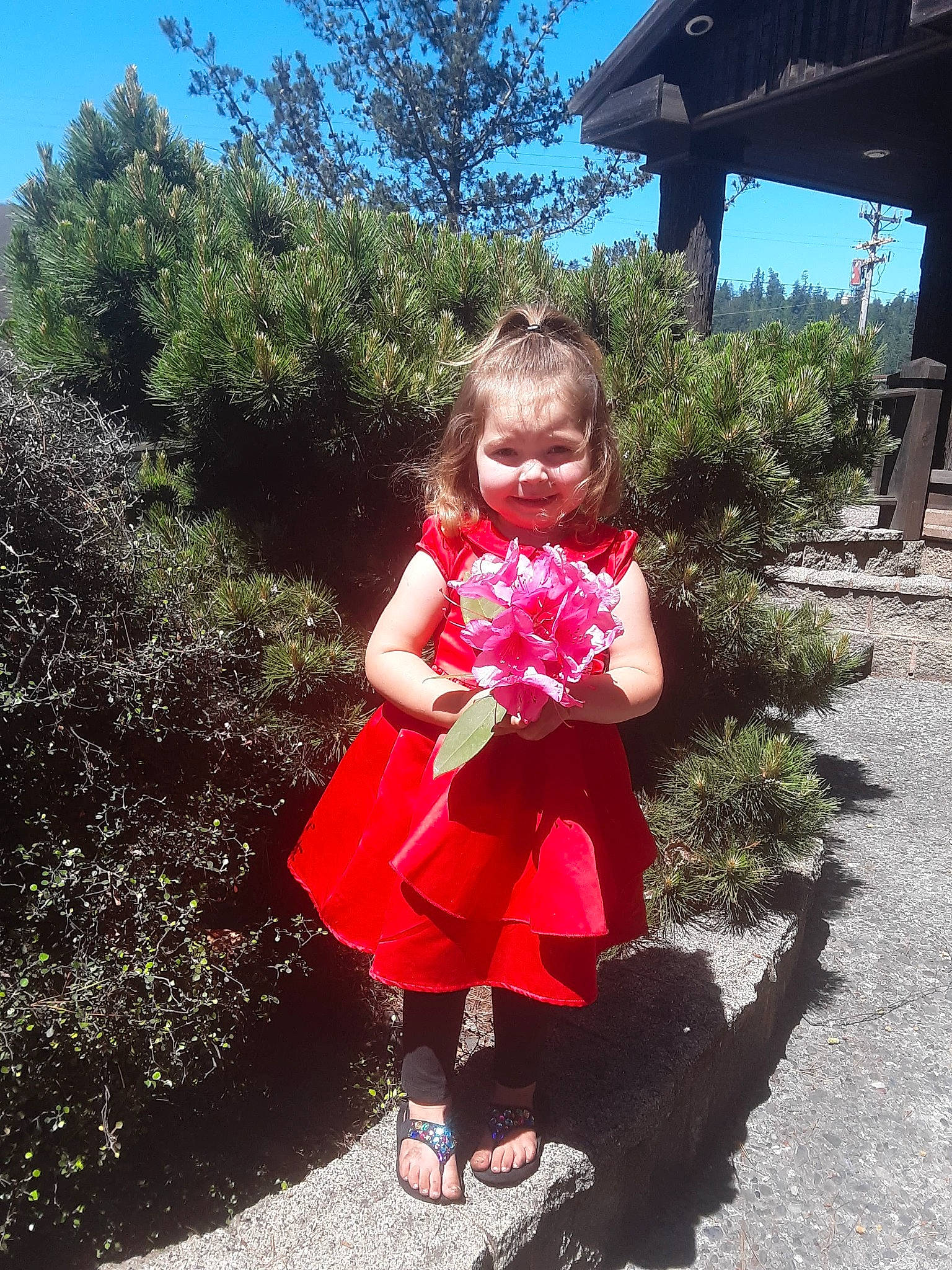 Eriana joined the competition — help win amazing prizes! baby_toddler_clothing, child, footwear, fun, garden, grass, happy, joy, landscape, leisure, magenta, people_in_nature, person, pink, plant, shrub, sky, spring, summer, toddler