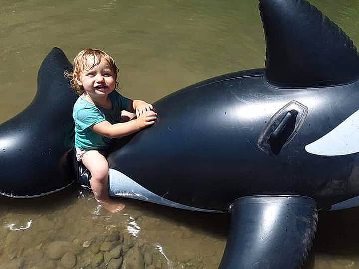 Isabella Renfer joined the competition — help win amazing prizes! child, comfort, dolphin, fin, fun, happy, inflatable, leisure, mammal, marine_mammal, person, photograph, recreation, sitting, smile, snapshot, toddler, vacation, vertebrate, water