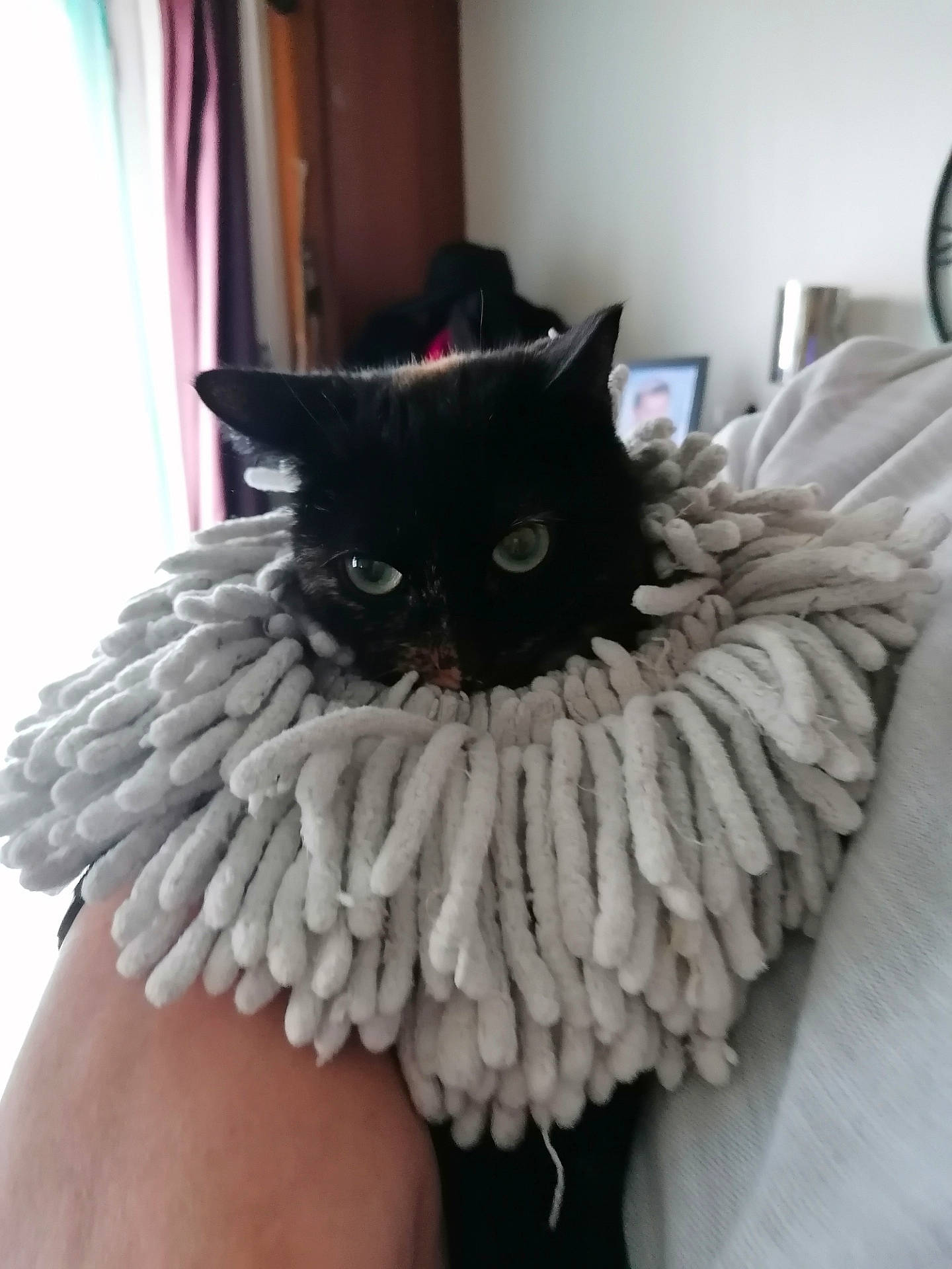 Tote participe au concours pour gagner de l'argent avec cette photo : black, black_cat, cat, costume, costume_accessory, fashion_accessory, feather, felidae, fur, hat, headgear, small_to_medium_sized_cats, whiskers, wing