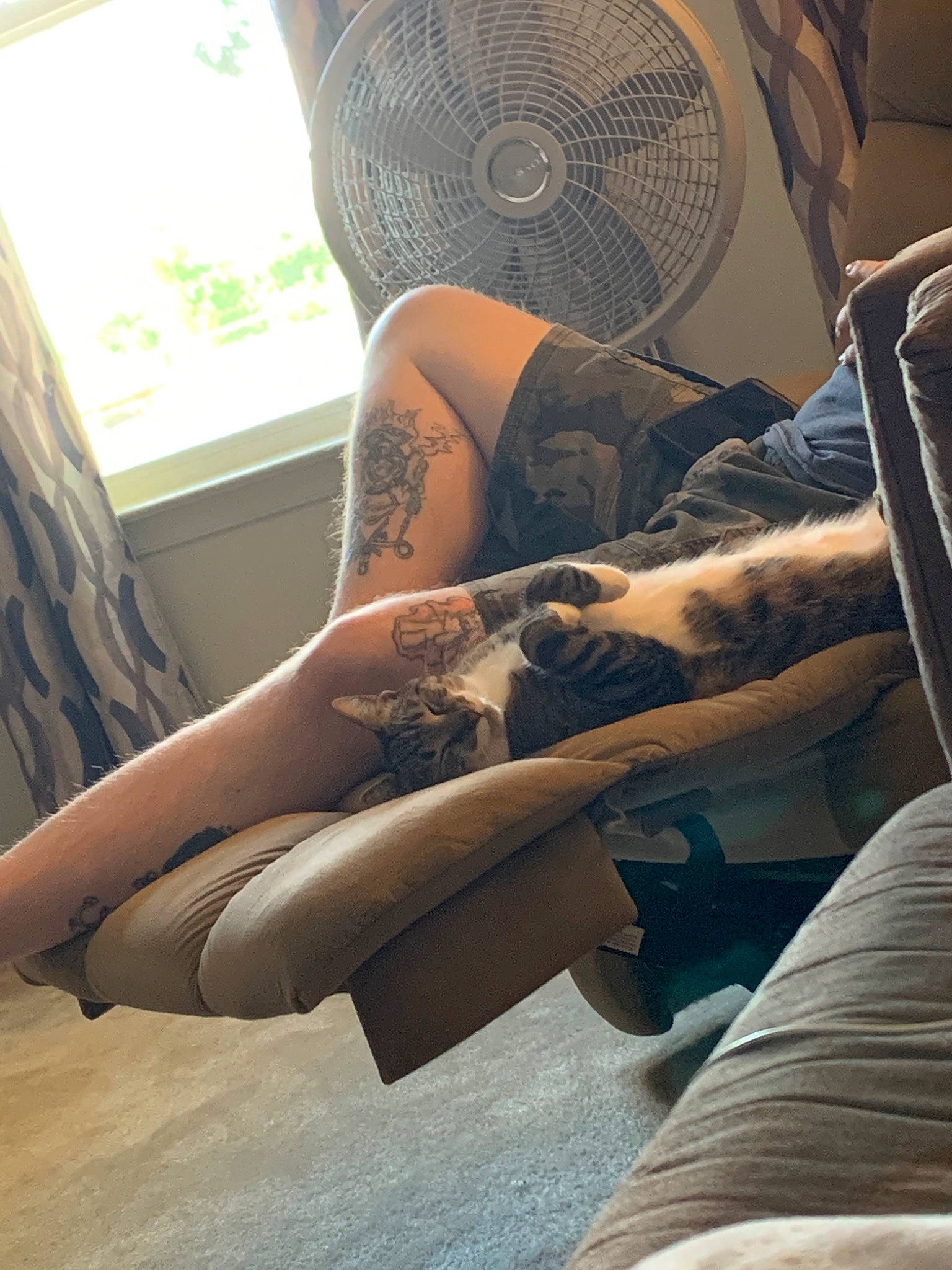 Fenway is registered to the contest to win money with this photo: arm, comfort, elbow, flesh, human_body, human_leg, joint, knee, leg, room, selfie, shoulder, sitting, tattoo, tattoo_artist, thigh