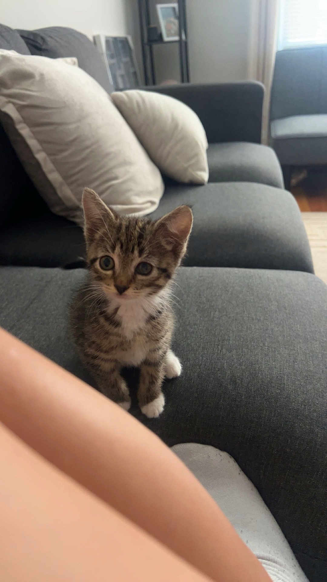 Rosie