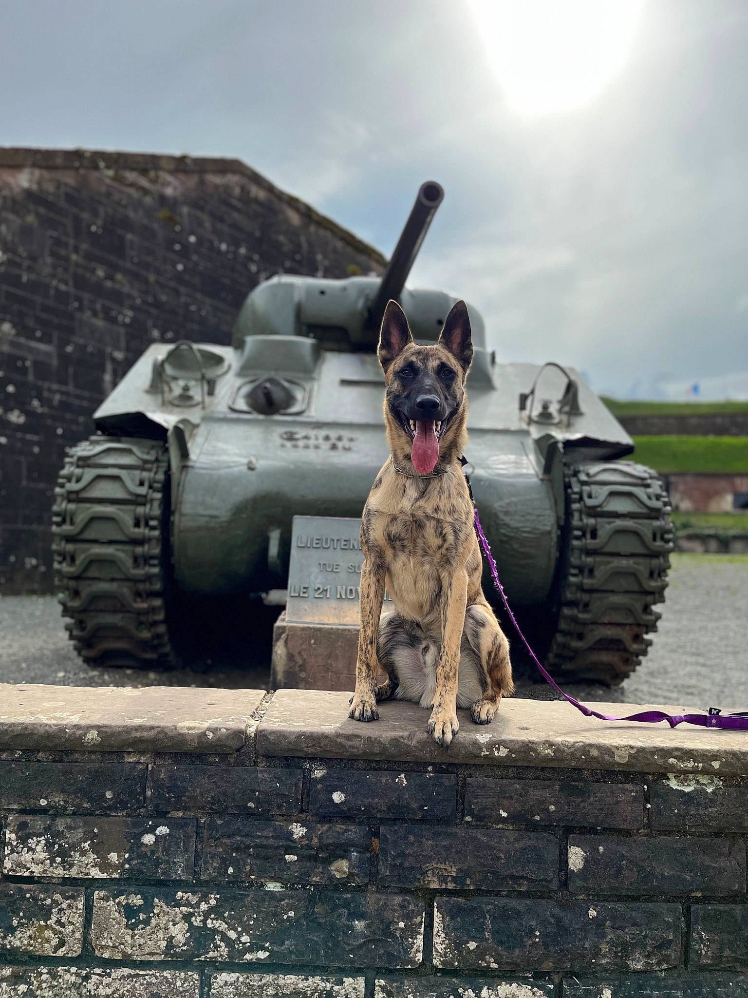 Tchad participe au concours pour gagner de l'argent avec cette photo : army, asphalt, auto_part, automotive_tire, automotive_wheel_system, cannon, cloud, combat_vehicle, gun_turret, marines, military_organization, motor_vehicle, self_propelled_artillery, sky, soldier, tank, tire, tread, vehicle, wheel