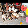 dog, cat, pets, indoor, floor, pet_beds, wooden_floor, cabinet, decor, toys, hedgehog_toy, stuffed_elephant, colorful_stickers, heart, smiley_face, party_popper, relaxed, group, multi_pets, home